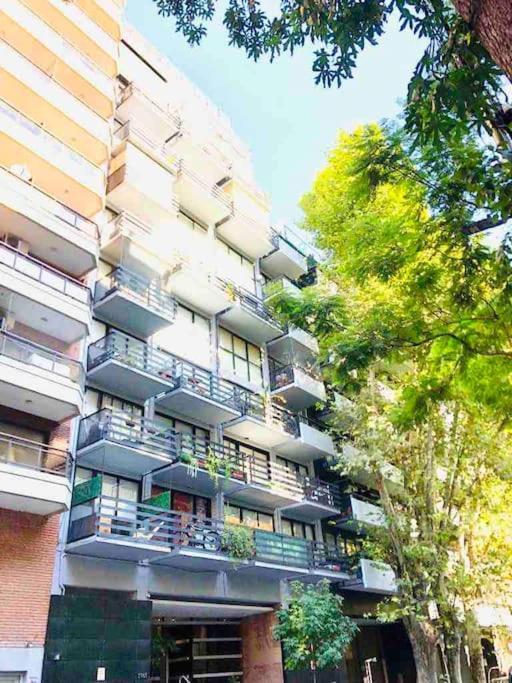 Apartment Modern & Sunny In Palermo