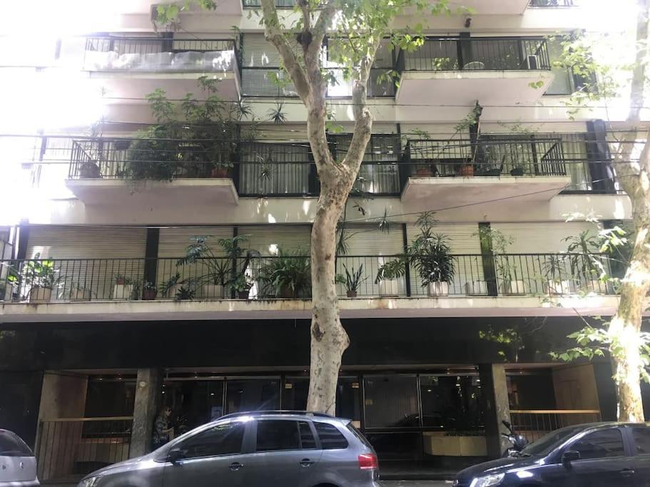 Estudio Palermo Ba * Buenos Aires