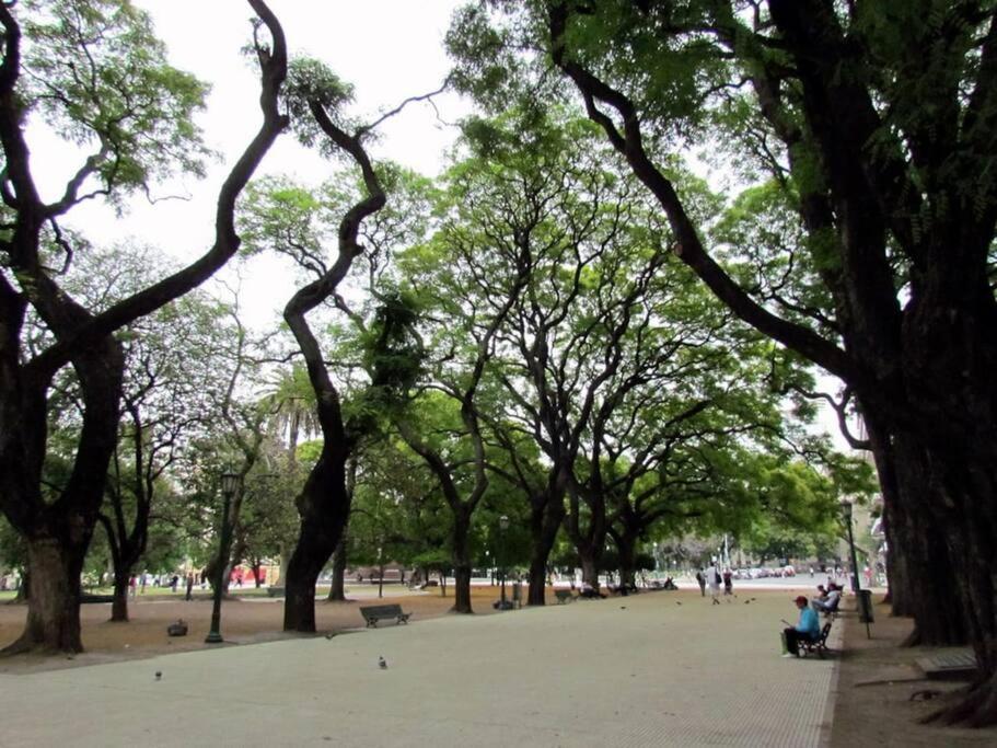 Super Luminous Great Location Plaza San Martin Retiro Centro Apartment