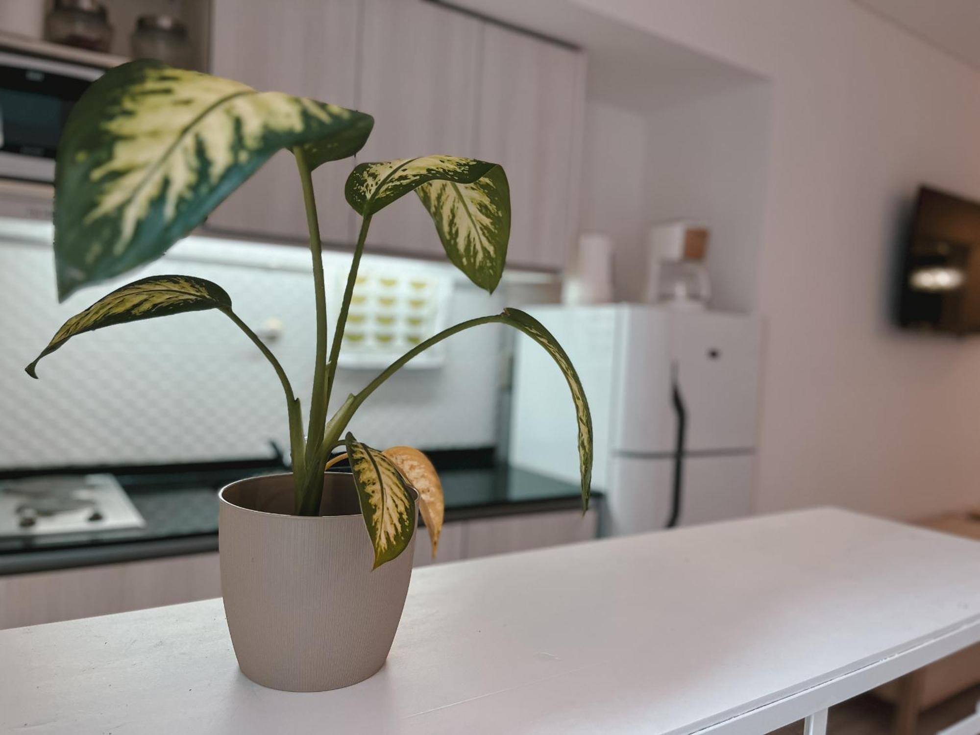 Apartment Rentup - Monoambiente A Estrenar Con Patio En Palermo Buenos Aires