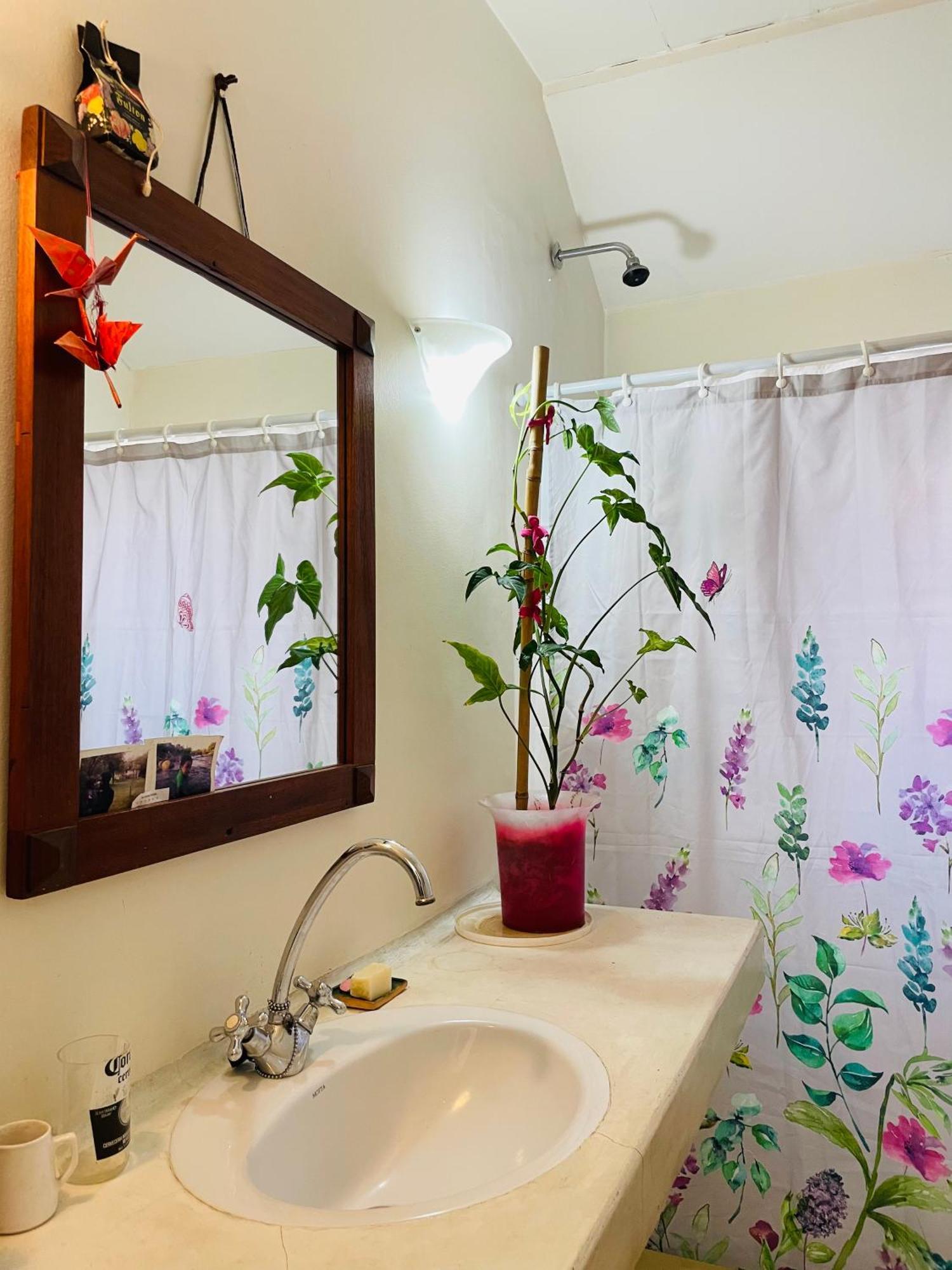 Amplia En San Telmo Homestay Buenos Aires