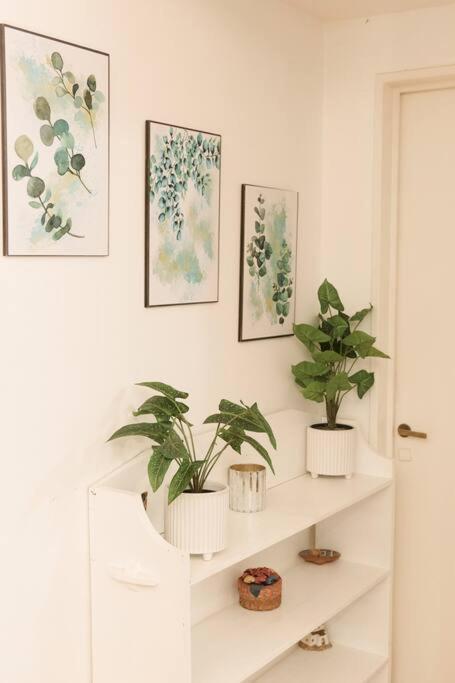 Apartment Silencioso Depto Por Alto Palermo, Muy Comodo Buenos Aires