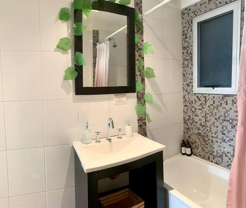 Apartment Lovely In Palermo Soho