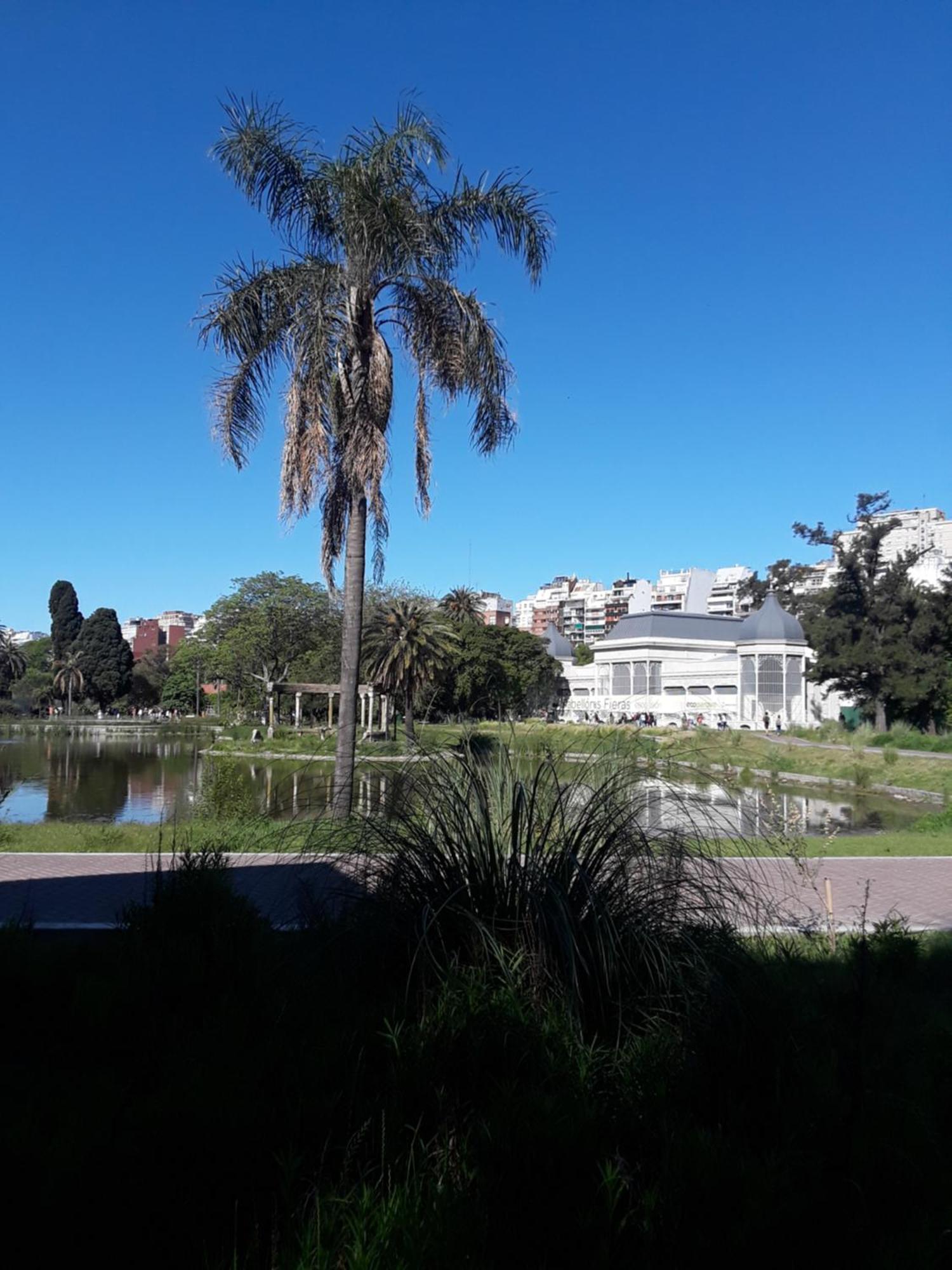 Departamento 2 Ambientes - Palermo Hollywood * Buenos Aires