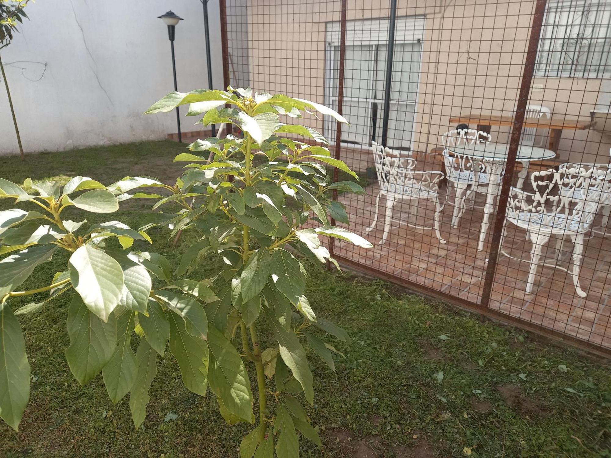 Casa Artigas 5684 Holiday home *