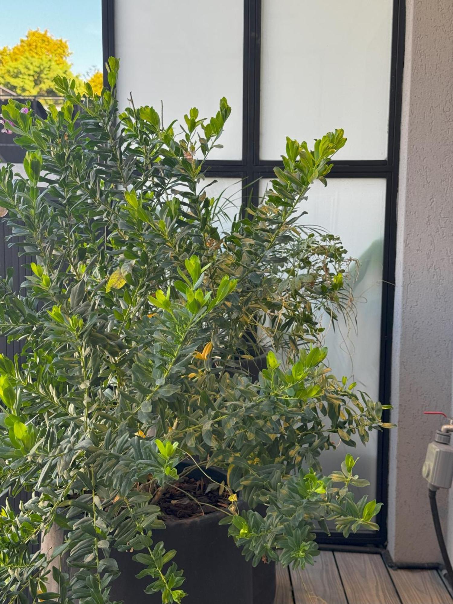 Departamento A Estrenar En Palermo Hollywood! Apartment Buenos Aires