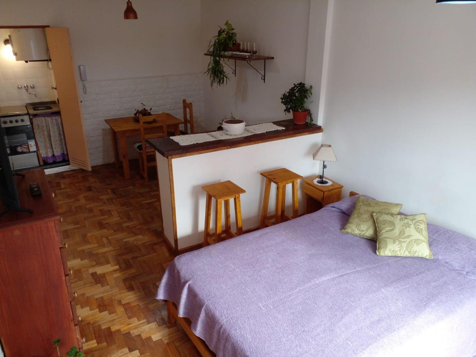 Apartamento Departamento En Recoleta *