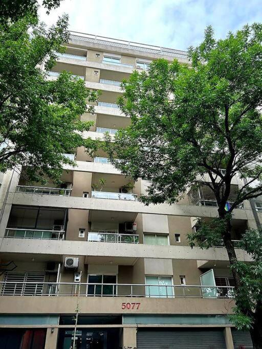 Hermoso Departamento De Un Ambiente En Palermo Apartment *