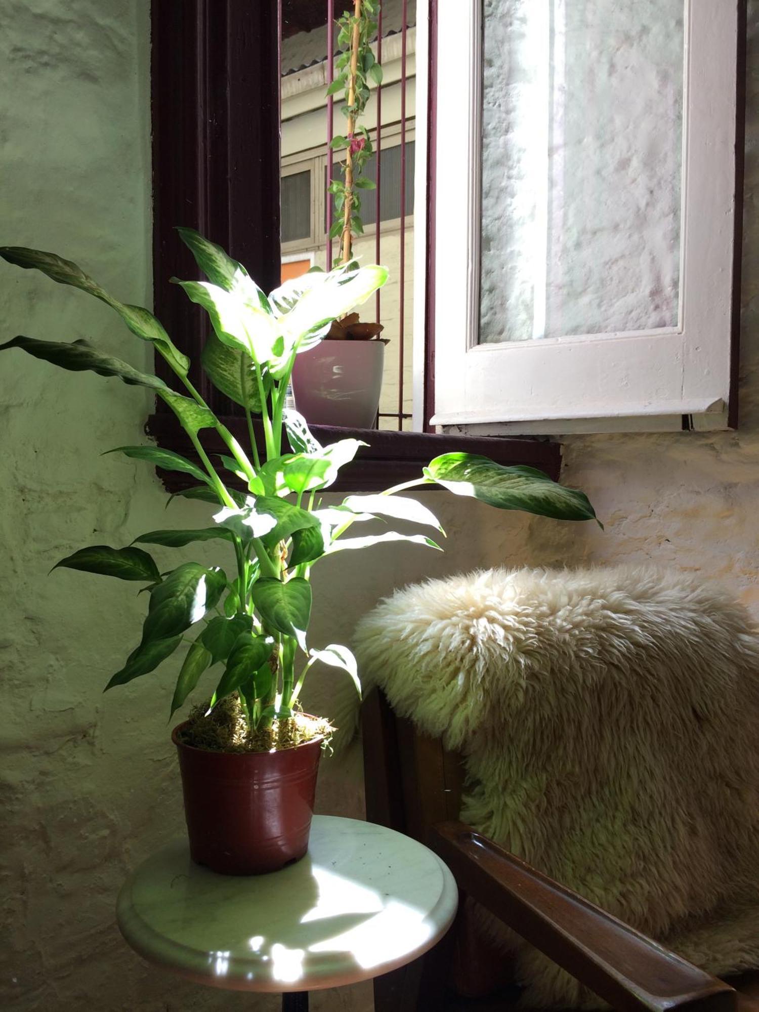 Apartment White Brick San Telmo *