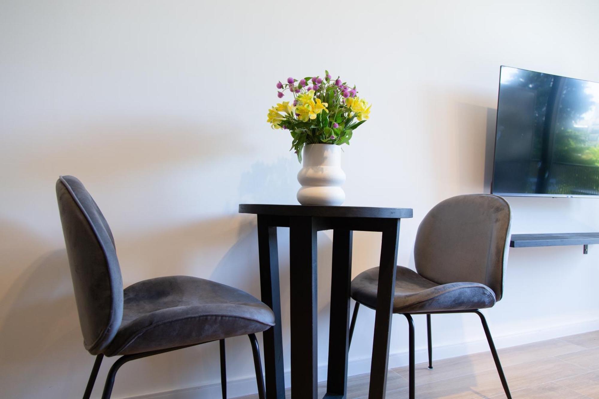 Aromo Beautiful Studio Apartment Buenos Aires