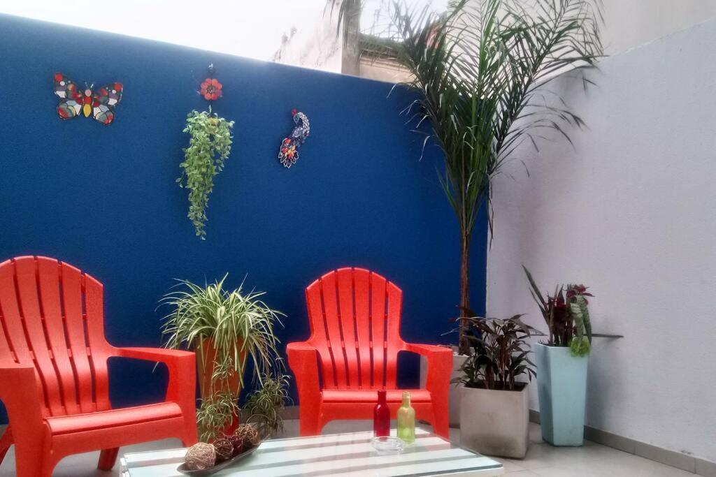 Apartment Hermoso Estudio Con Patio Privado Buenos Aires