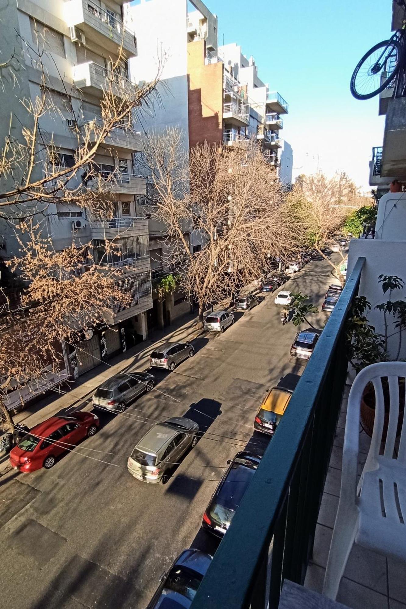 Division Palermo * Buenos Aires