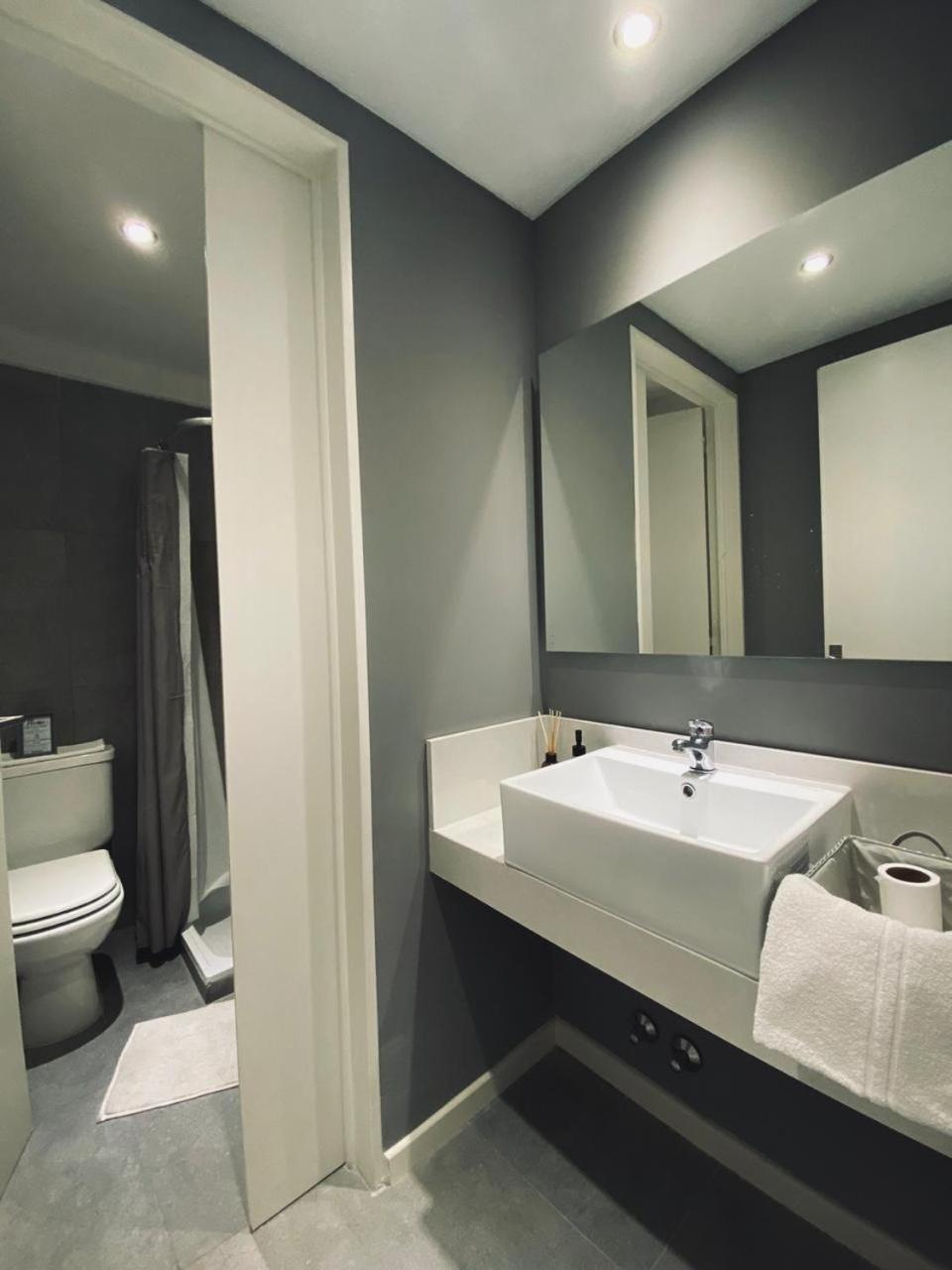 Palermo Soho, Scalabrini Ortiz Apartment Buenos Aires
