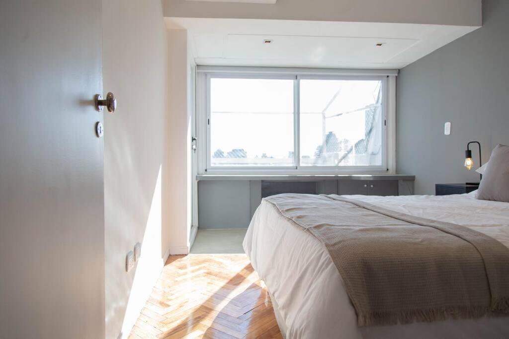 Lila Luminous Buenos Aires