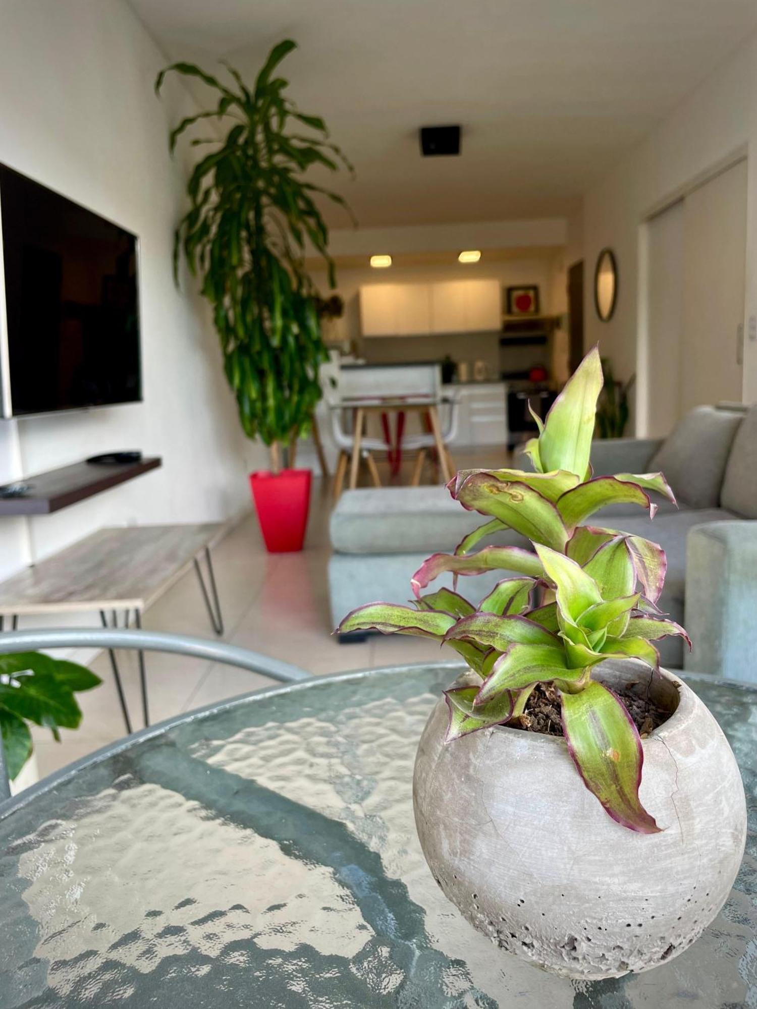 Palermo Hollywood Apartment Buenos Aires