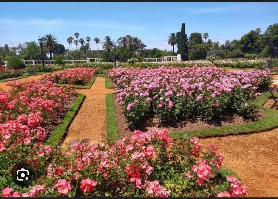 Palermo Nuevo Excelente Ciudad Autónoma de Buenos Aires