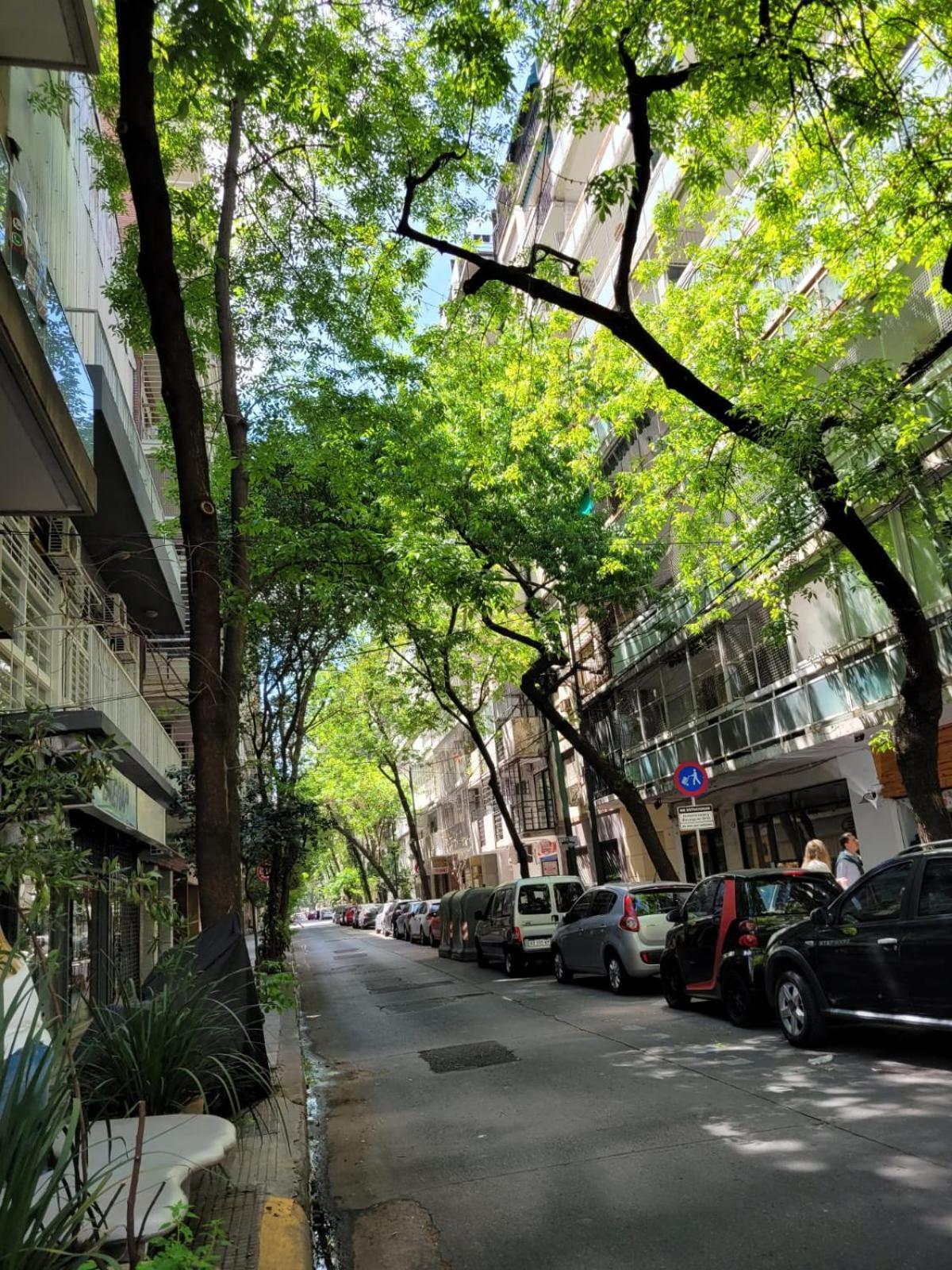 Canitas Departamento Hasta 3p Apartment
