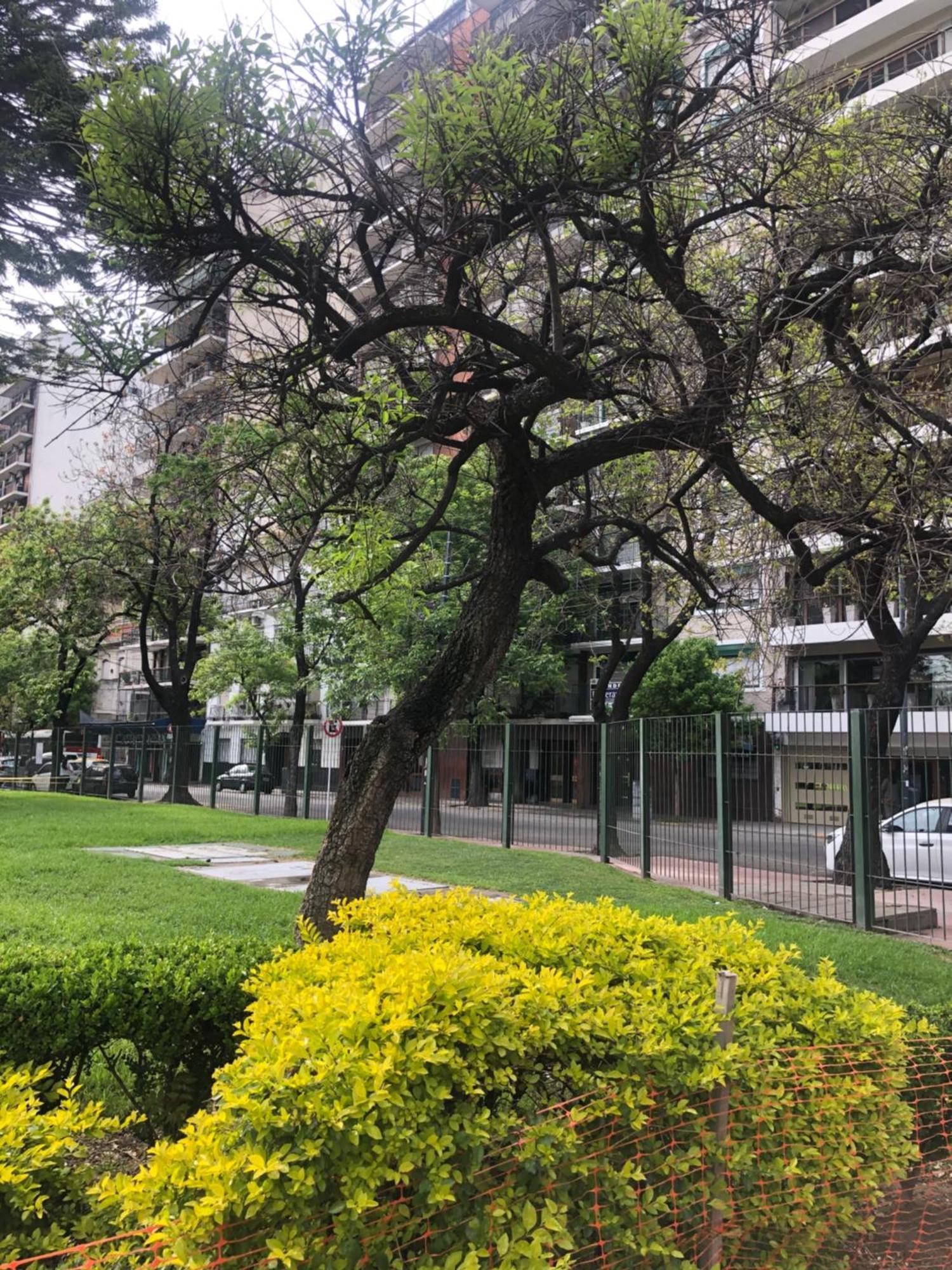 Comodo Y Calido * Buenos Aires