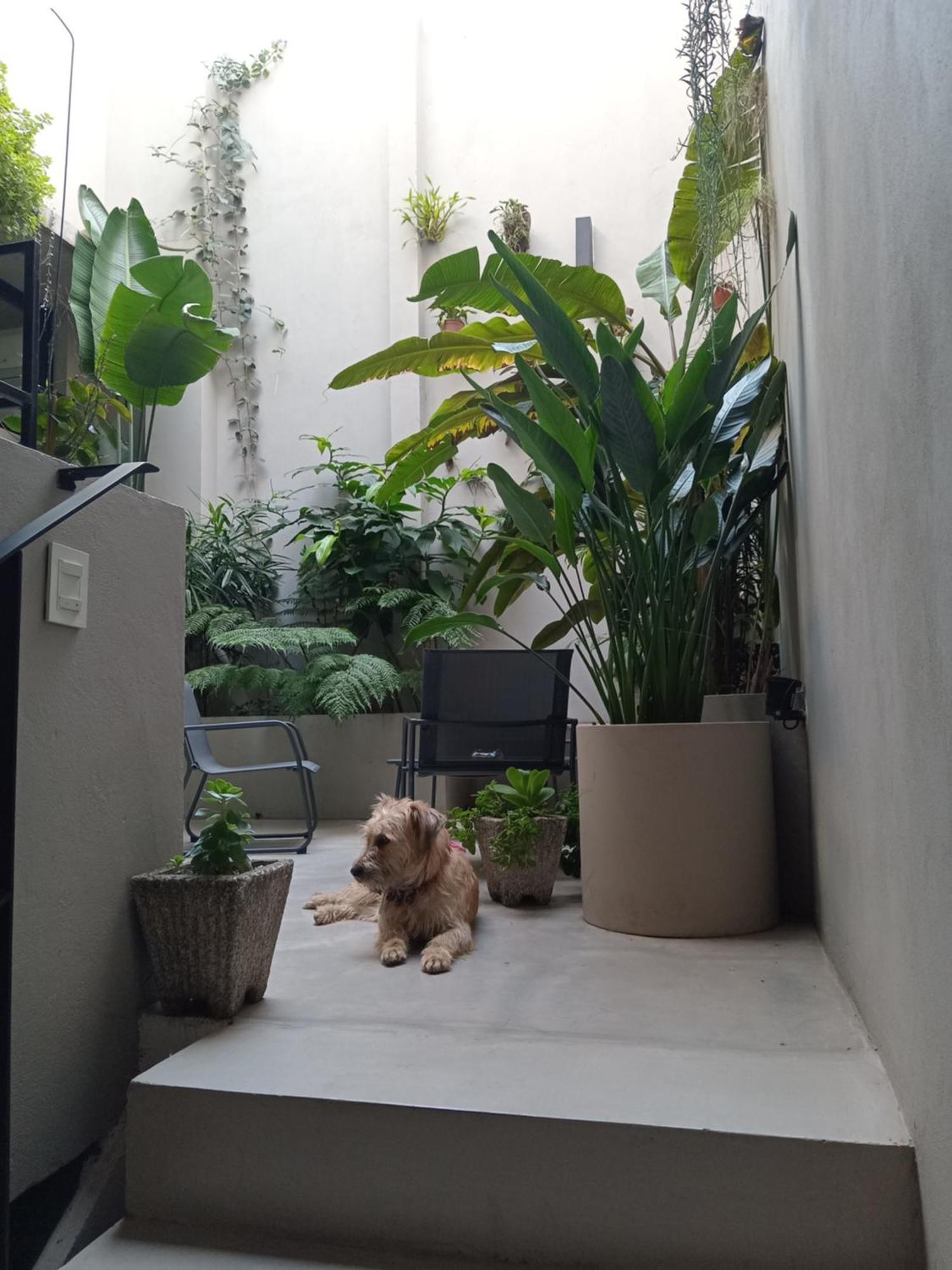 Con Bano Uso Exclusivo En Casa Compartida En Primer Piso Por Escalera Buenos Aires