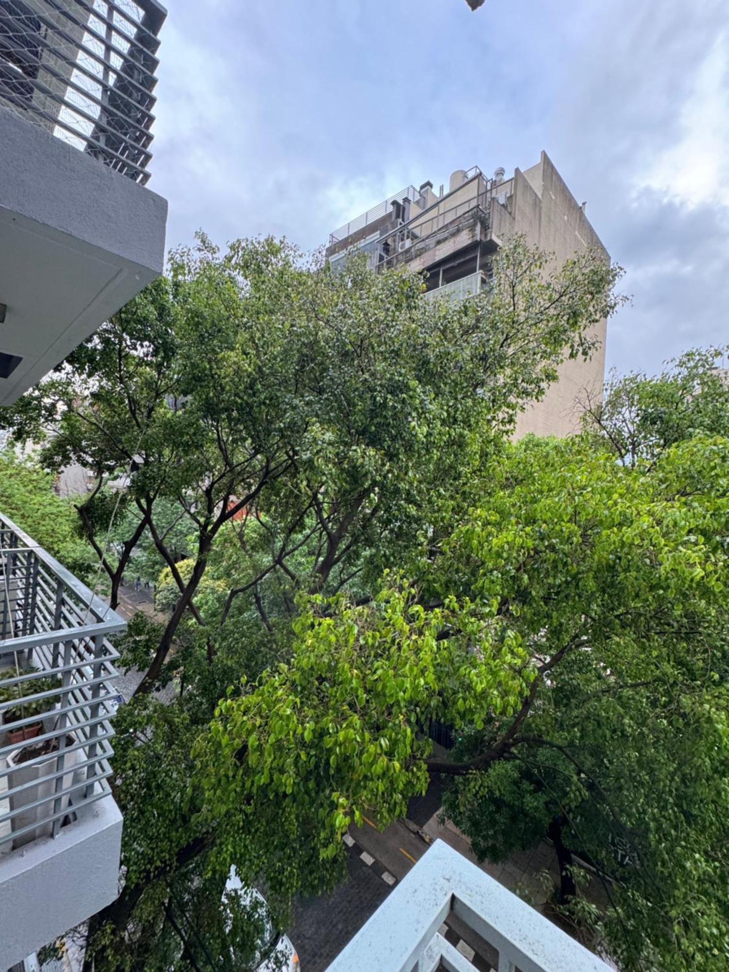 Caballito * Buenos Aires