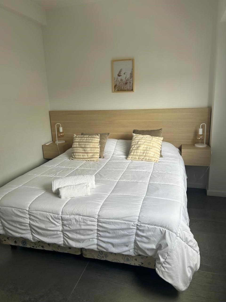 Apartamento Confortable Departamento En Recoleta *