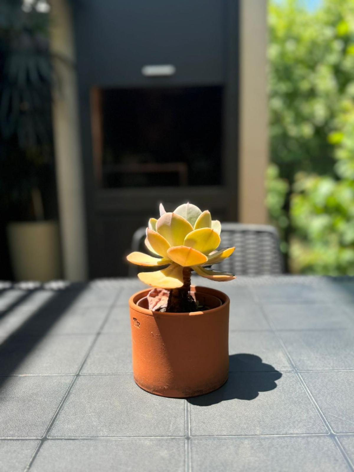 Bed & Breakfast Departamento A Estrenar, Palermo Hollywood Vii
