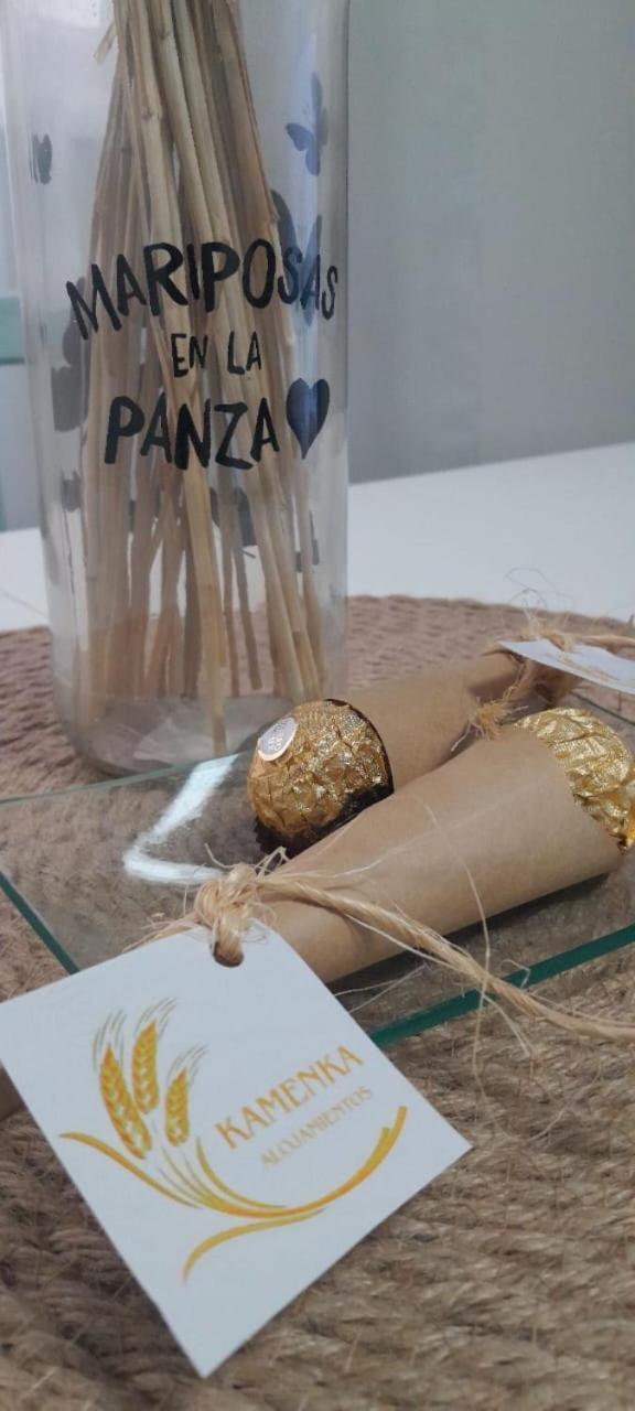 Apartamento Kamenka
