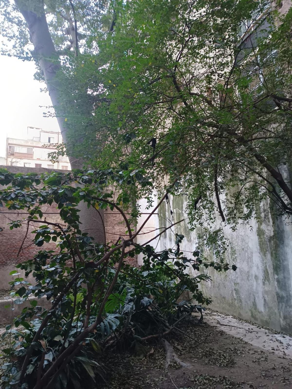 Departamento Con Balcon Al Frente 5 Ambientes Y Jardin Buenos Aires