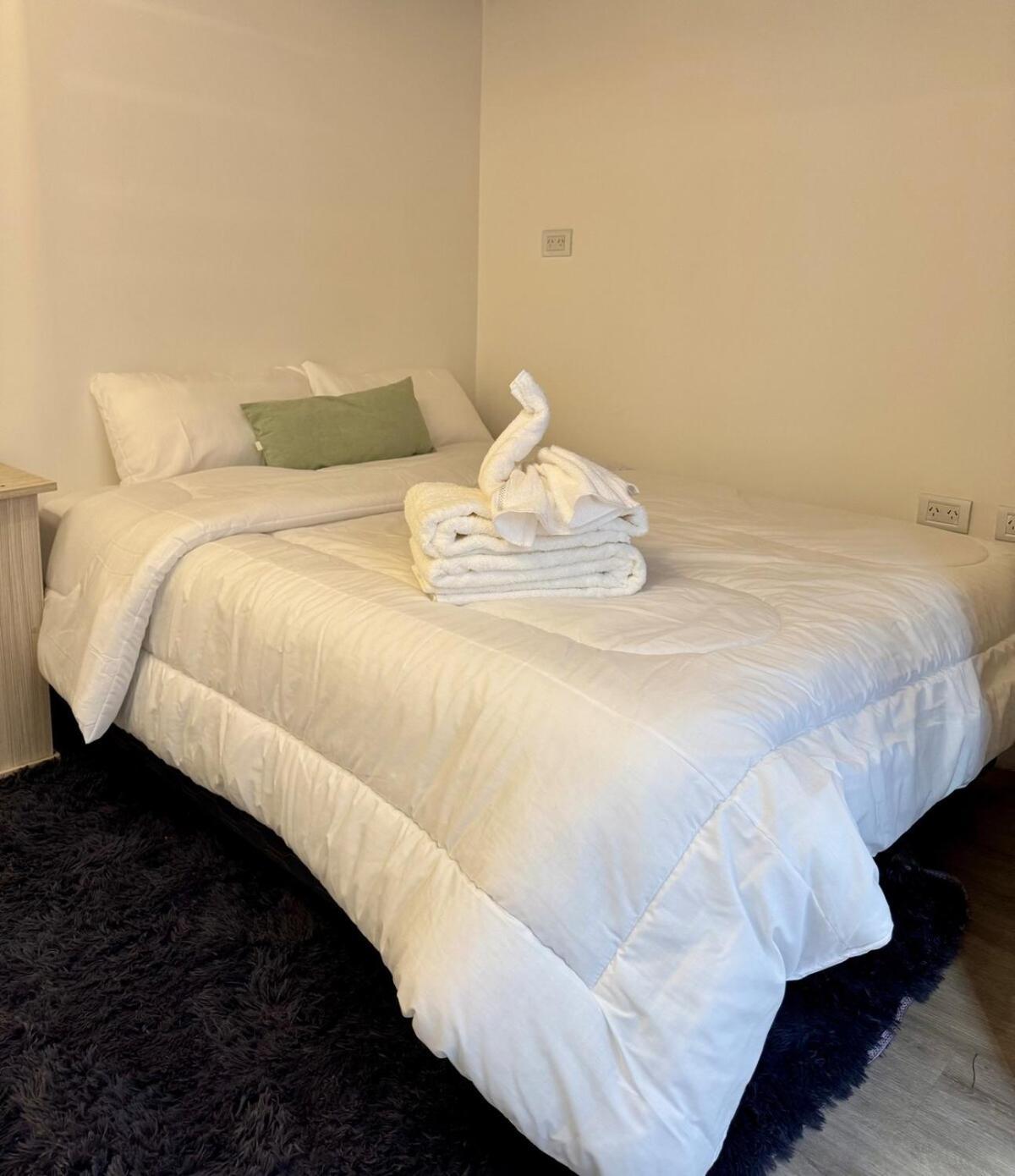 Beautiful And Comfortable Dpto In The Heart Of Palermo Apartment Buenos Aires