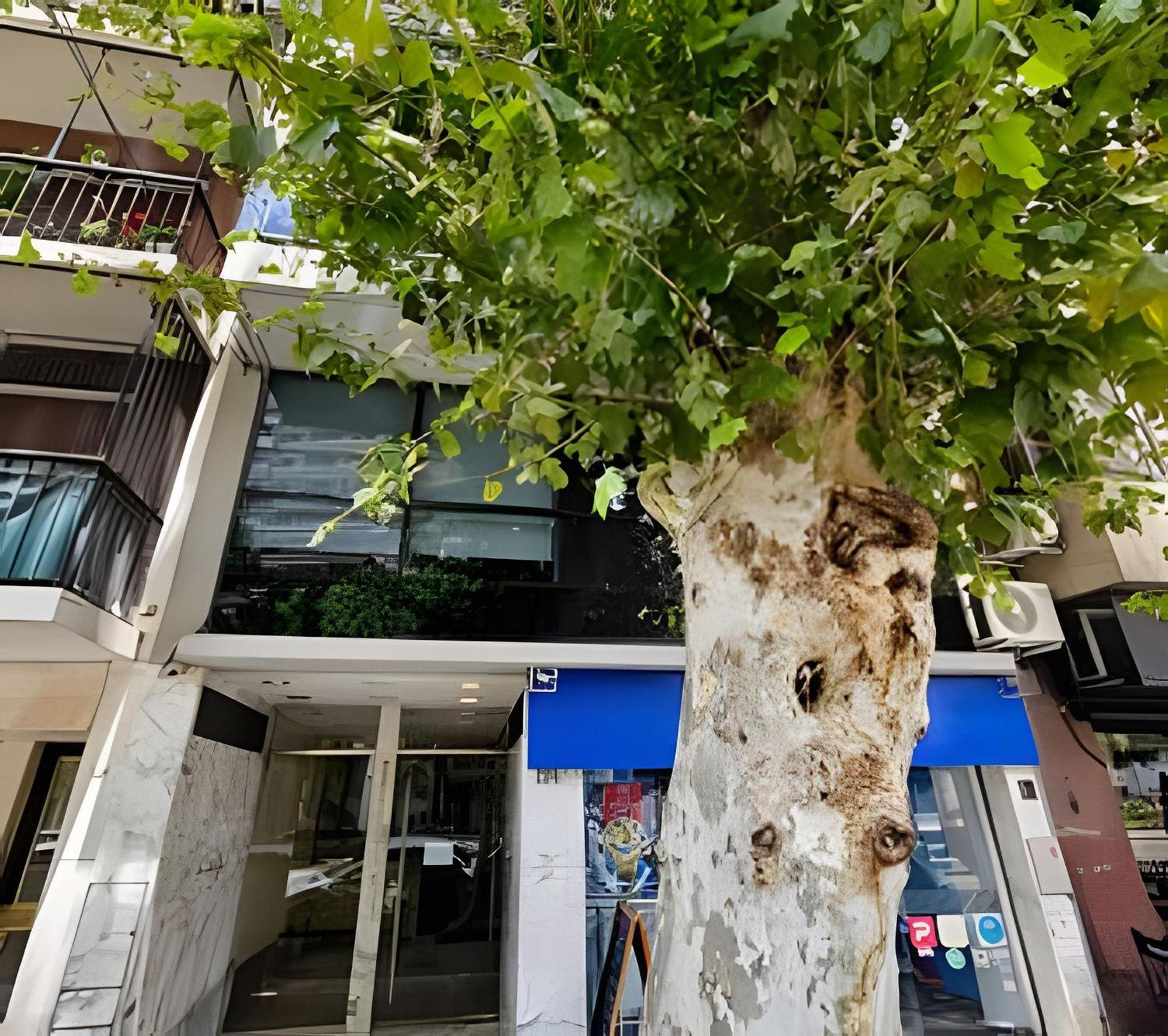 Loft Amplio 50m2 Nuevo En Recoleta Apartment *