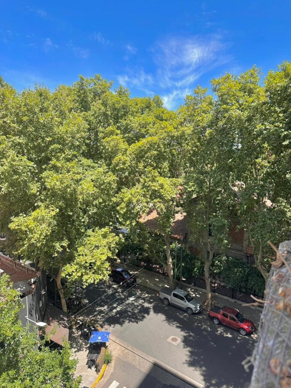 Hermoso Departamento 4 Ambientes En Palermo Frente Al Jardin Botanico Buenos Aires