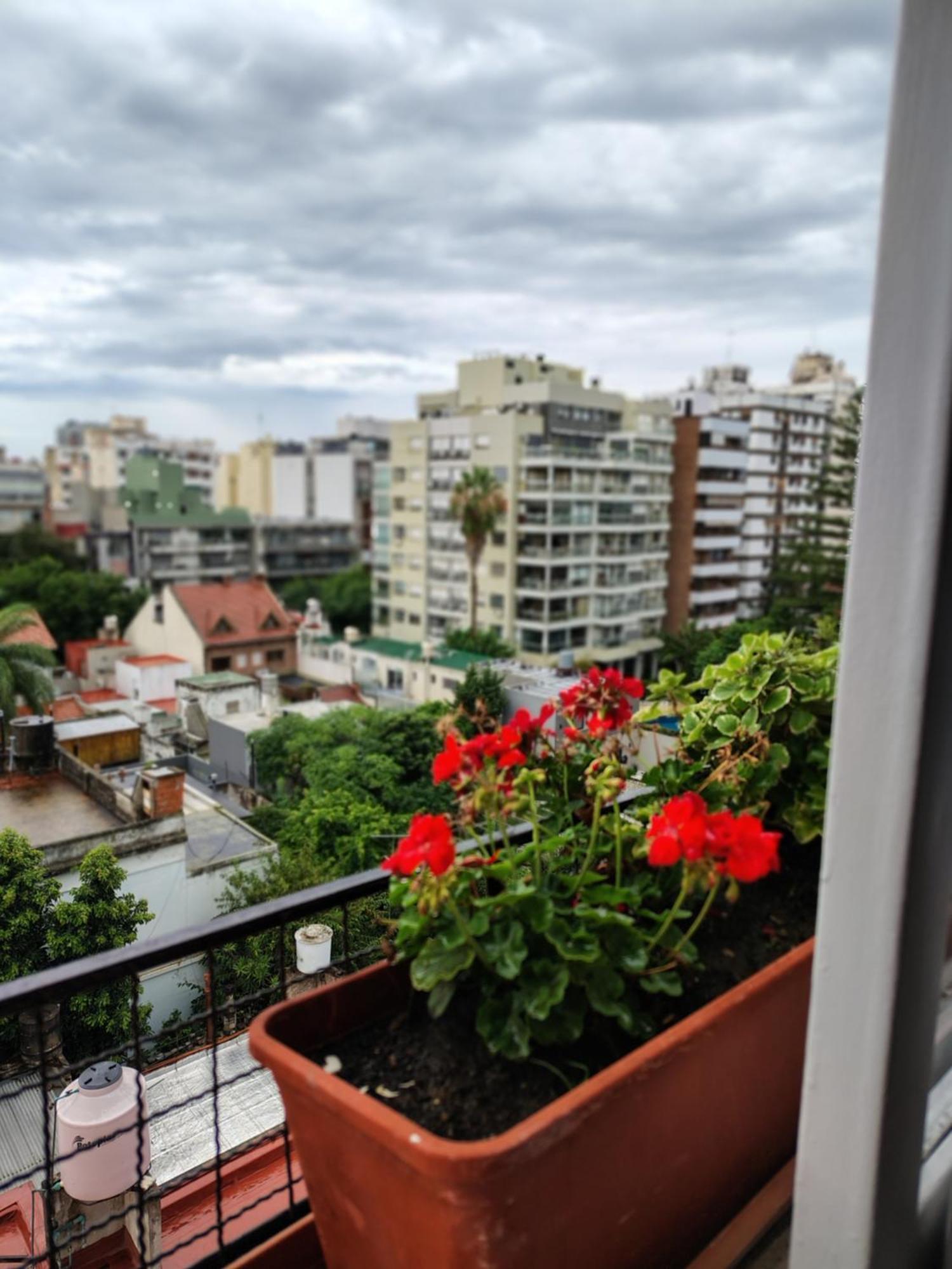 Bonito Departamento Luminoso * Buenos Aires