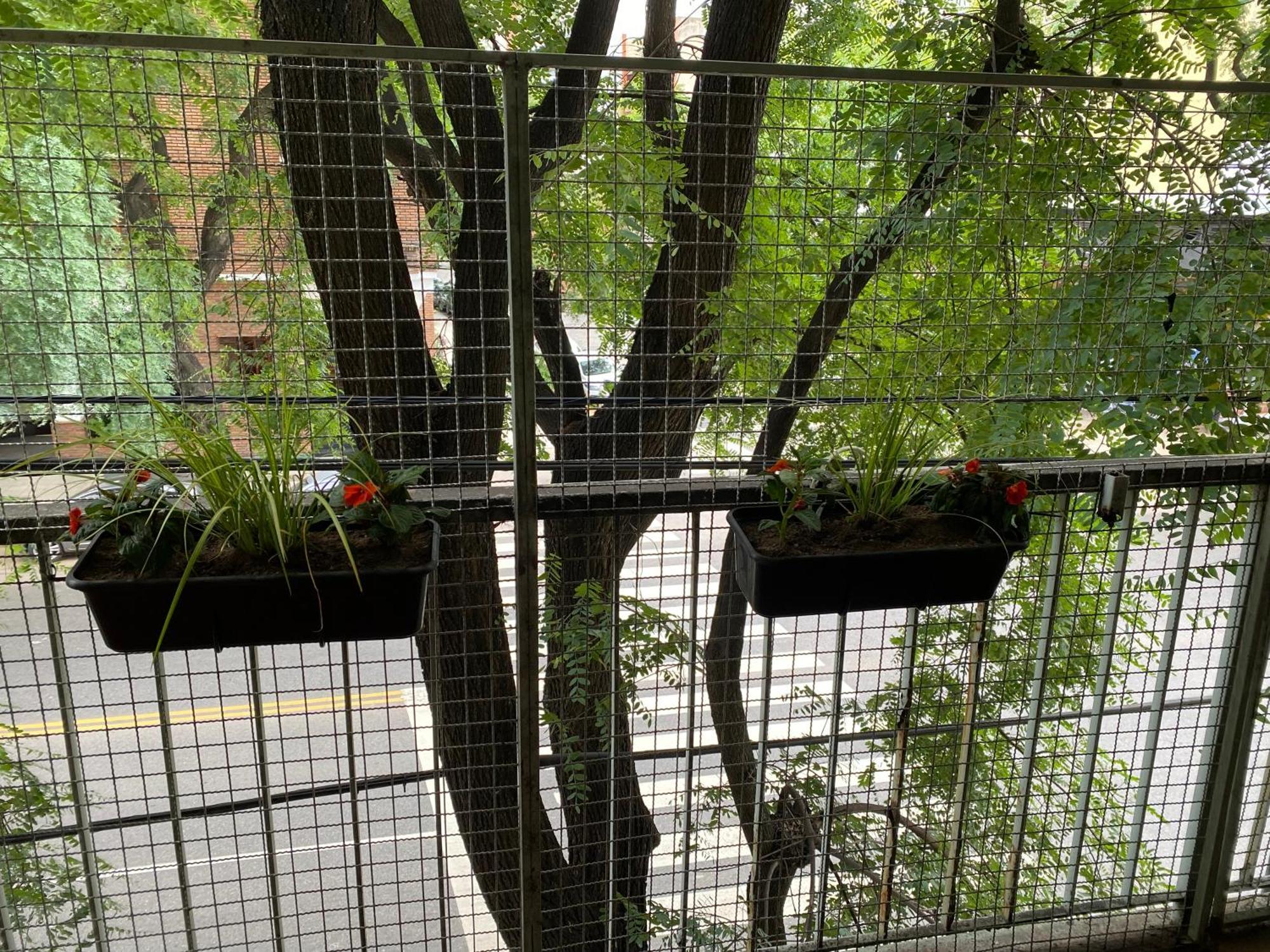 Departamento Excelente, 3 Ambientes En Caballito, Balcon A La Calle 4 Personas Apartamento