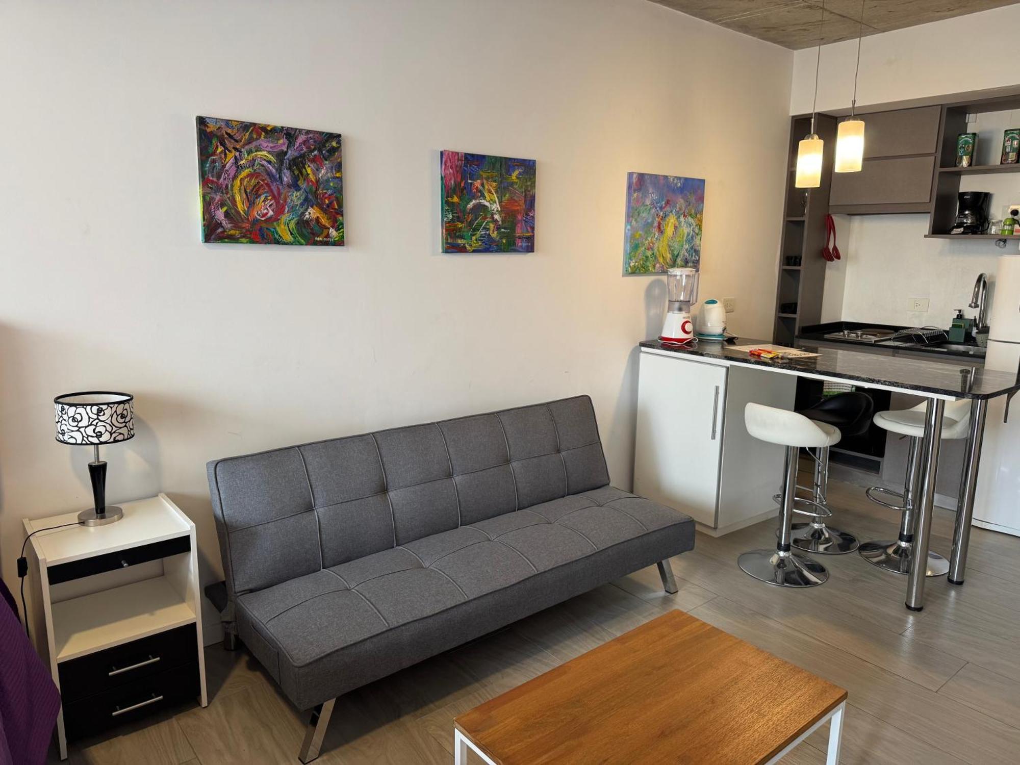 Apartment Magnific Department Buenos Aires