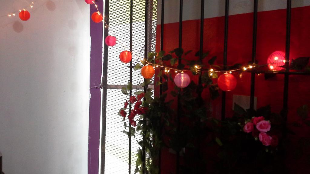 La Rana Hostel *