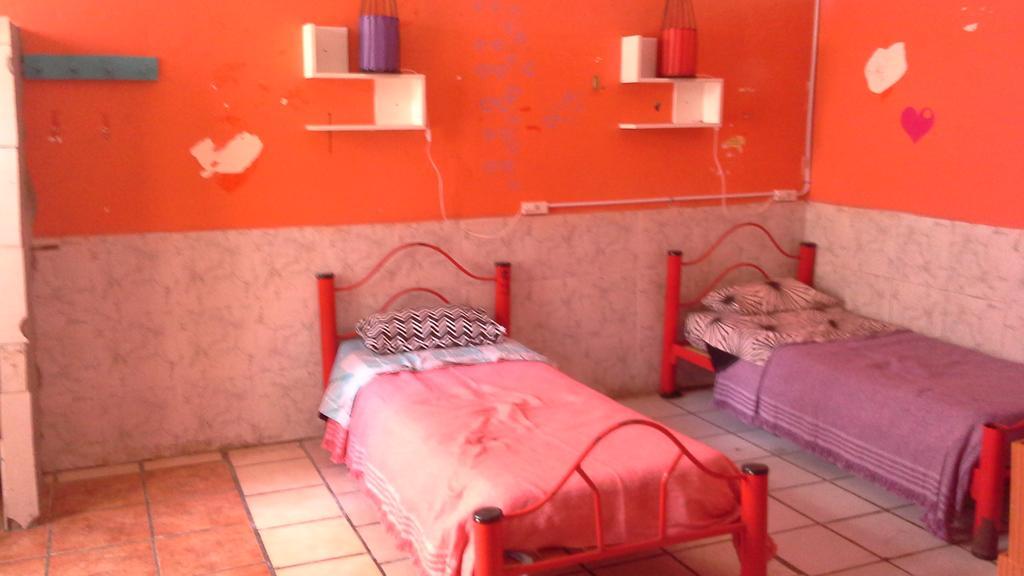 Hostel La Rana *