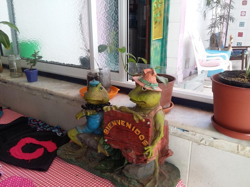 La Rana Hostel *