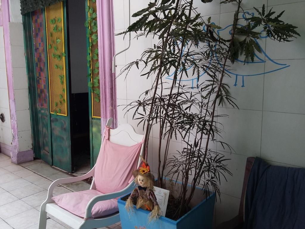 Hostel La Rana