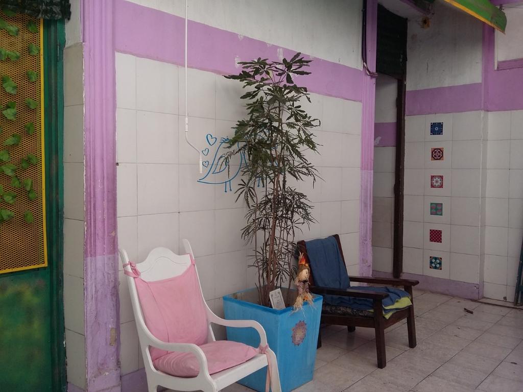 La Rana Hostel Buenos Aires