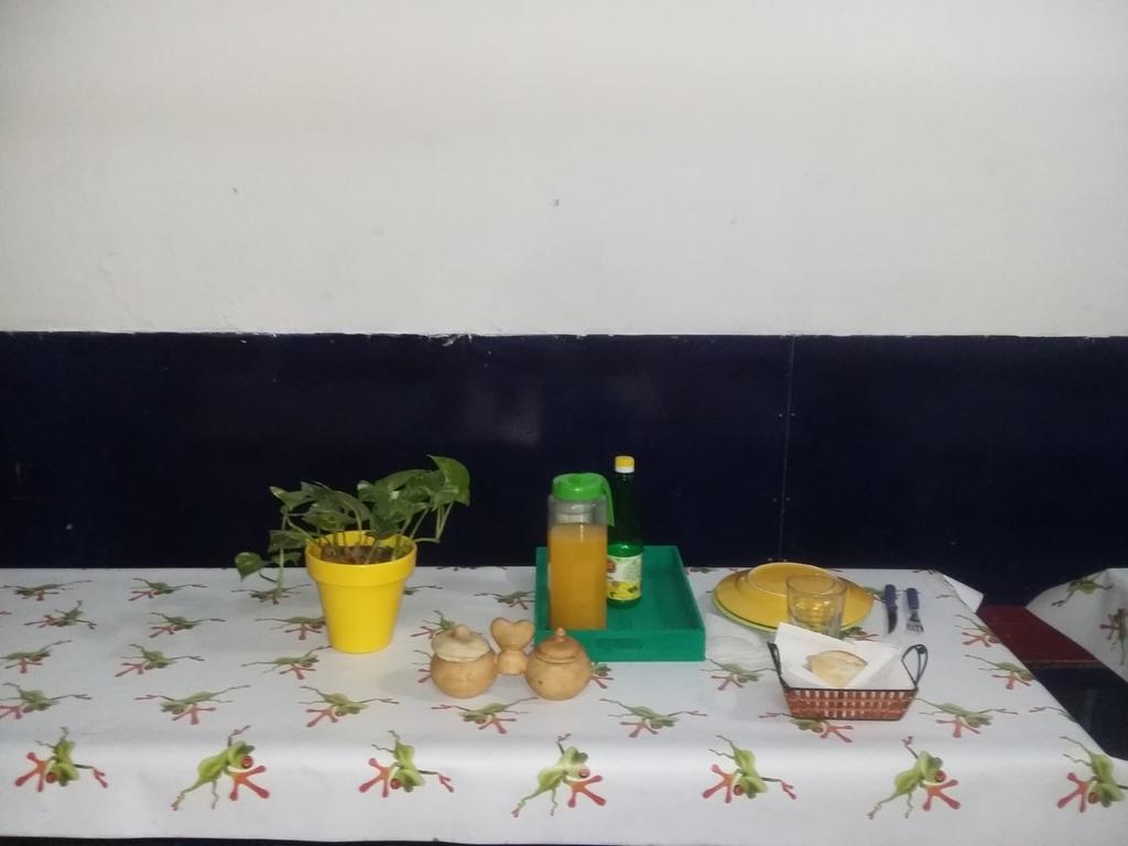 Hostel La Rana *