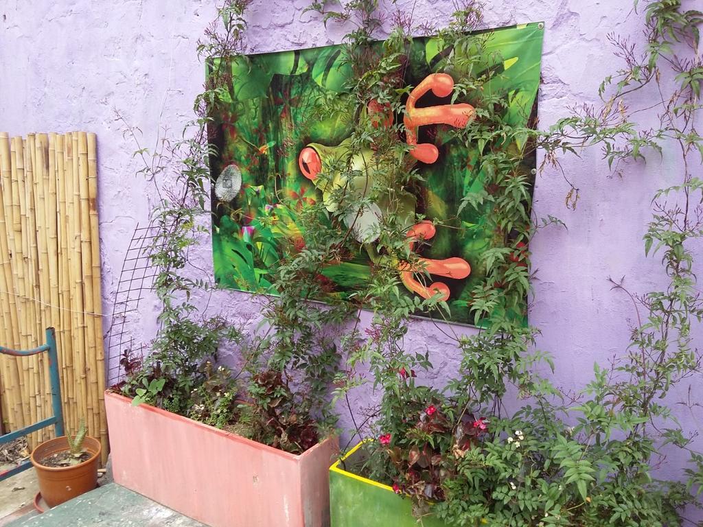 La Rana Hostel *