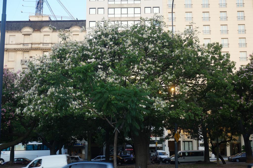 Aparthotel Lima 265 Buenos Aires