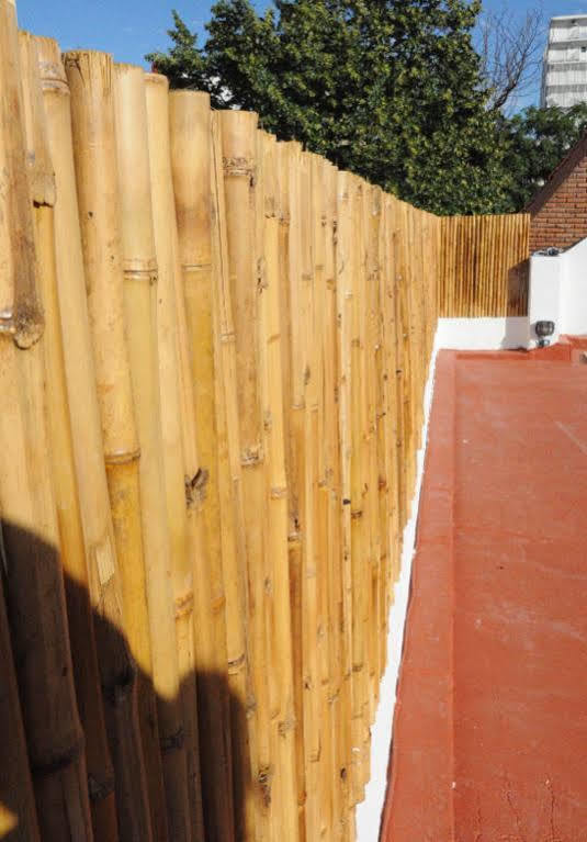 Albergue Dogo