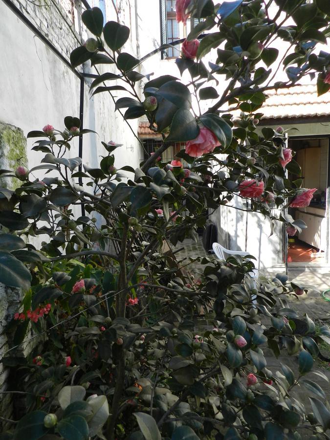 Polo (adults Only) Bed & Breakfast Villa Maipu