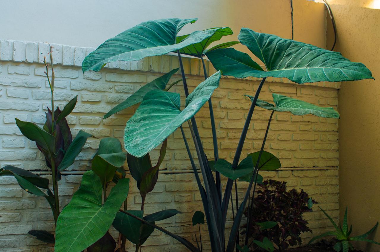 Casa Borges Adrogue * Buenos Aires