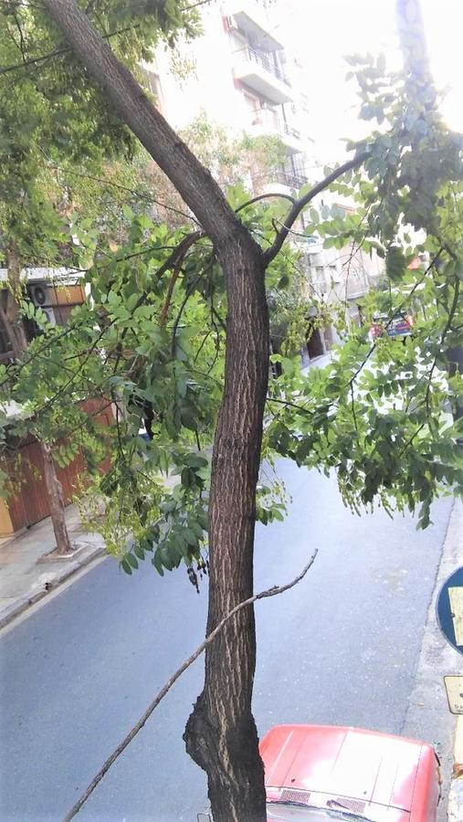 Alquiler Temporario Buenos Aires