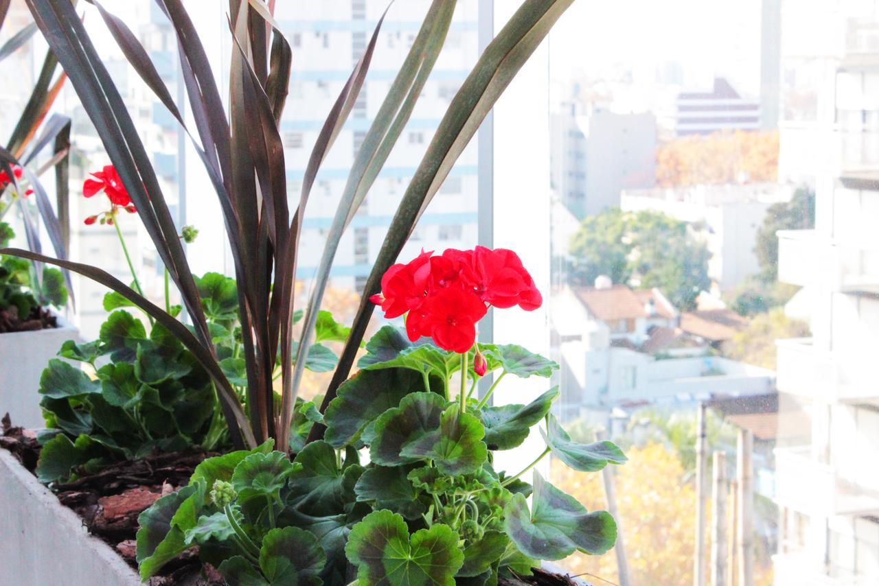 Boutique Devoto Hotel 4*