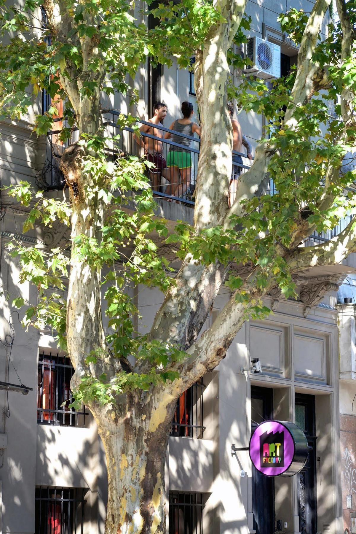 Albergue Art Factory Palermo *