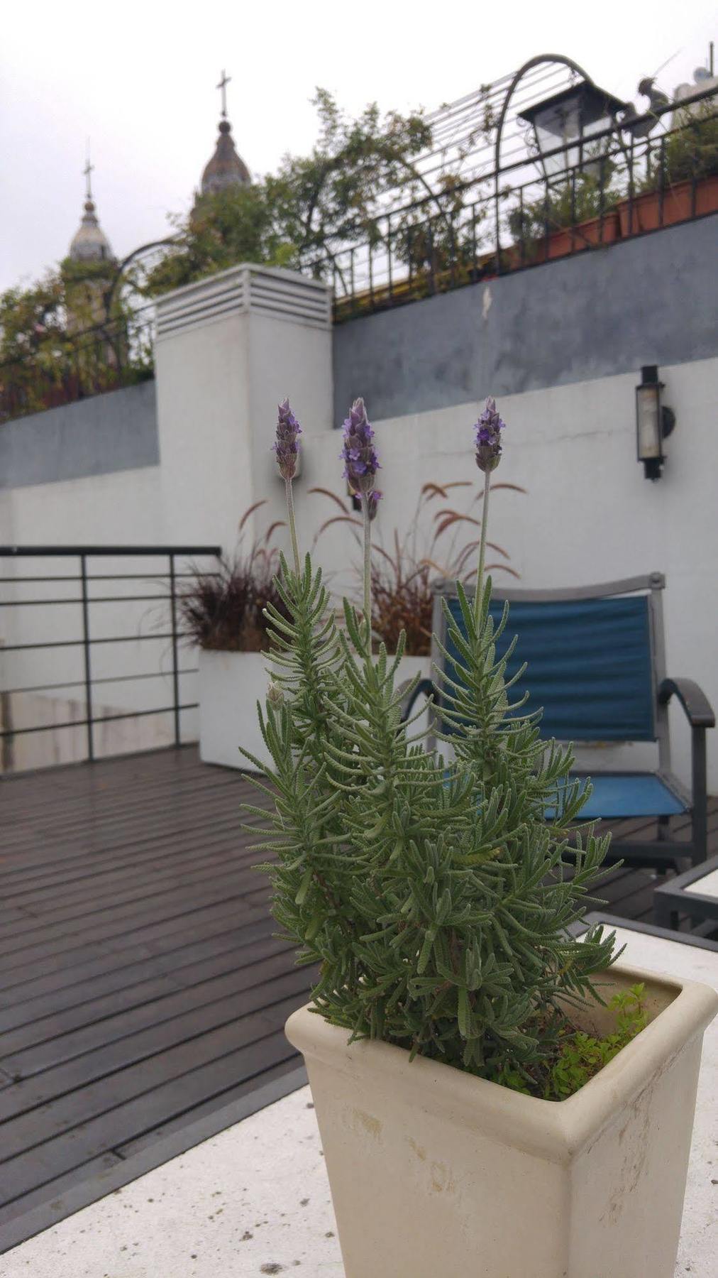 Telmho Boutique Hotel