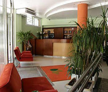 Olmo Dorado - Wellness & Business
